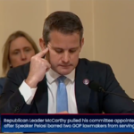 Hollywood Celebrities Fawn over Adam Kinzinger, Rage at GOP During Pelosi’s January 6 Commission Hearing