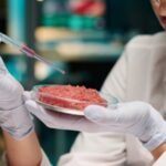 Lab-Grown Meat Banned in Second State: Alabama Follows Florida’s Lead