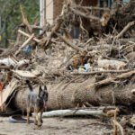 FEMA Workers Told to Flee North Carolina After Threats From “Armed Militias”