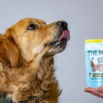 World’s first lab-grown meat for pets goes on sale